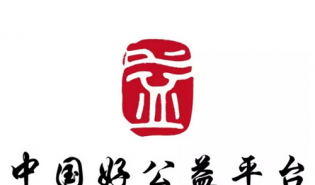 从传统资助到公益创投：基金会行动模式的转型与挑战