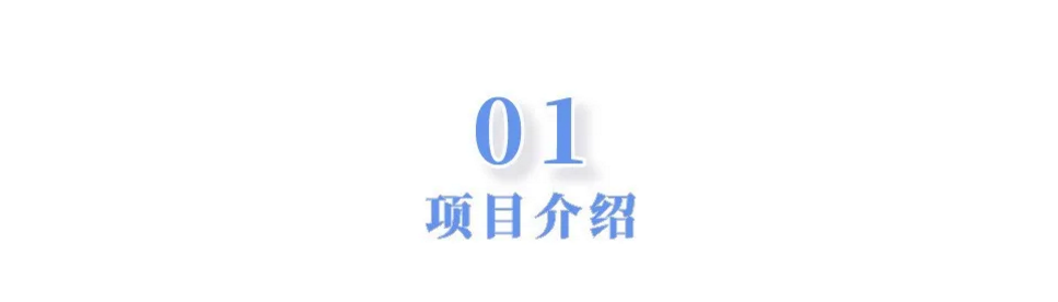 项目介绍1.png